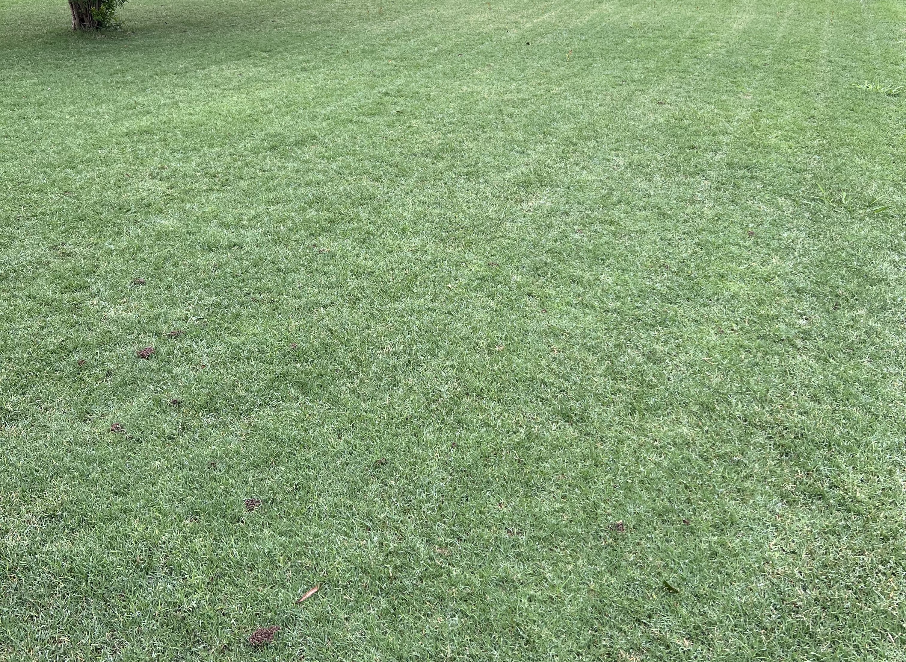USTurfPros photo 5